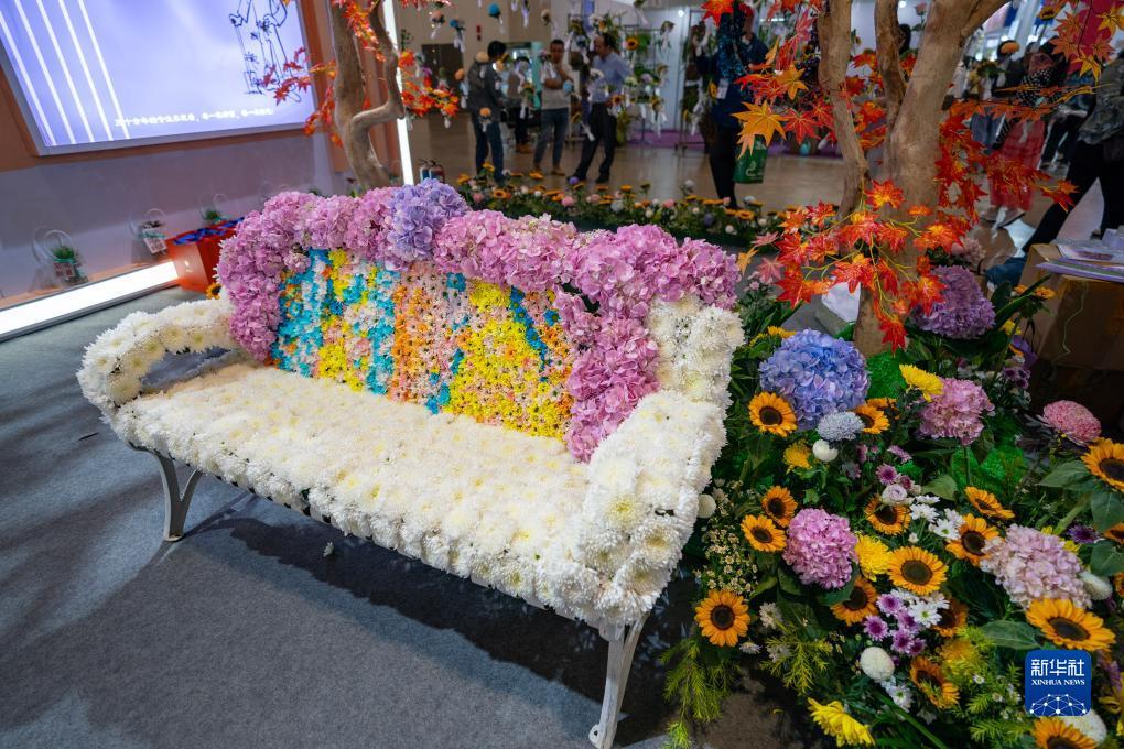 华纳娱乐平台